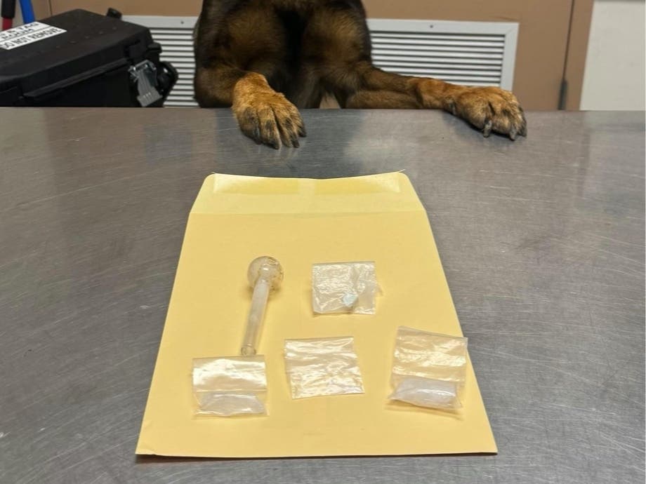 A 38-year-old man was arrested after a dog allegedly found large quantities of meth and fentanyl in his car, police said. 