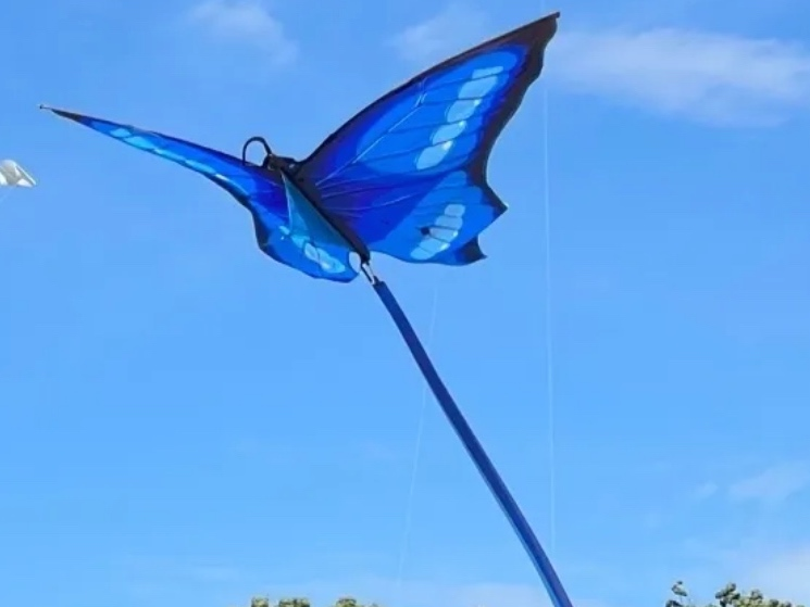 The popular annual event features professionally choreographed kite flying, as well as family-friend food, music, and entertainment. 