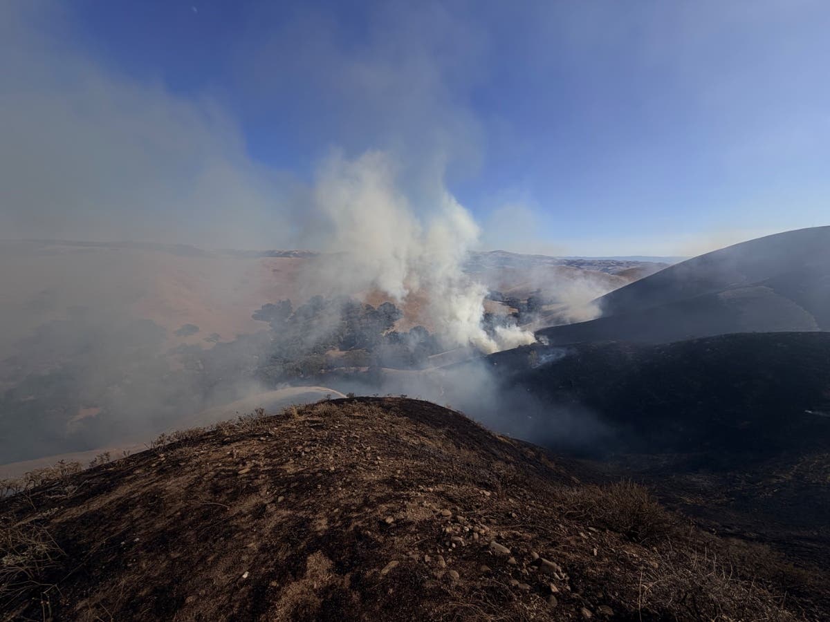As of Thursday morning, the Little Fire is 65% contained and remains at 1007.3 acres, according to Cal Fire.