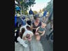 Livermore residents met with local police and firefighters Tuesday night for block parties, picnics, barbecues and more. 