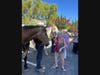 Livermore residents met with local police and firefighters Tuesday night for block parties, picnics, barbecues and more. 