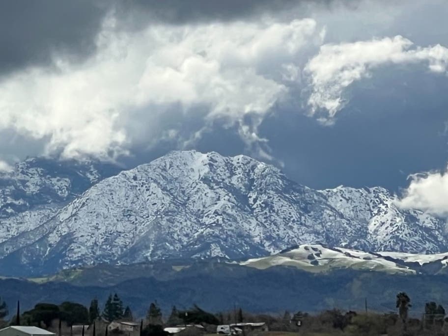 The California legislature approved the designation for the 2oo-mile range, deeming conservation critical for climate goals.
