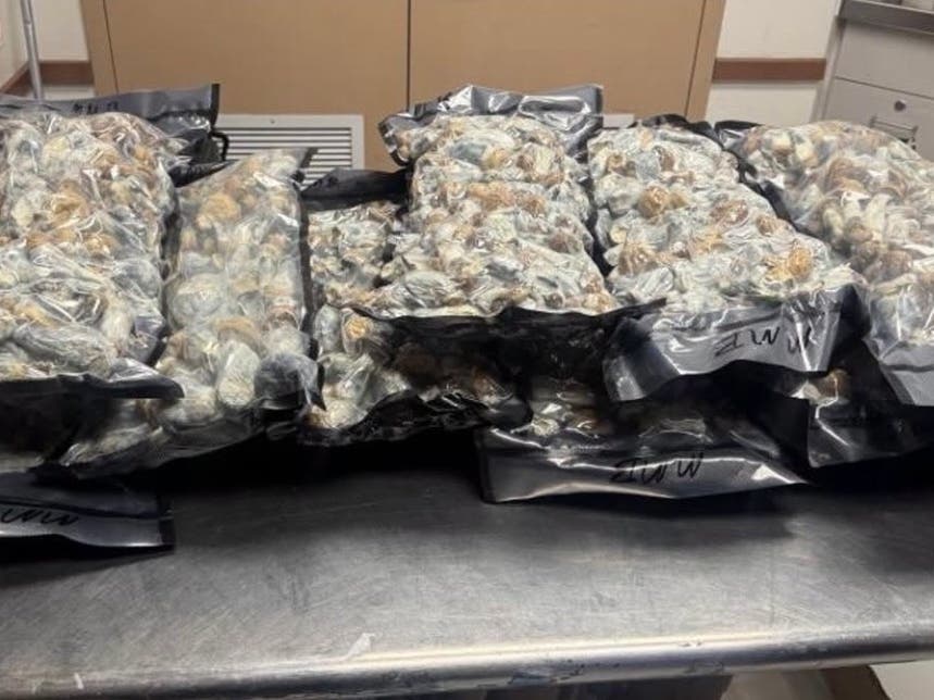 Police say they found 11 pounds of psilocybin mushrooms in a storage unit in San Ramon.