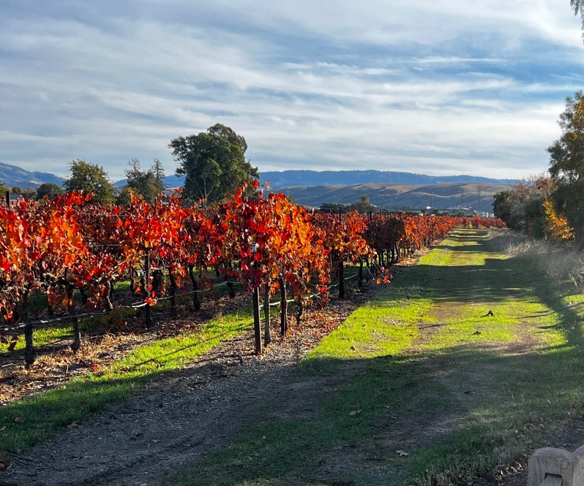Wine Enthusiast honored the historic East Bay wine region for its growing reputation for quality, hospitality and innovation.