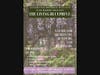 The Living Blueprint: Integrating Biophilic Wellness into Modern Practice - 1