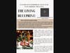 The Living Blueprint: Integrating Biophilic Wellness into Modern Practice - 2