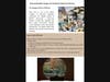 The Living Blueprint: Integrating Biophilic Wellness into Modern Practice - 4