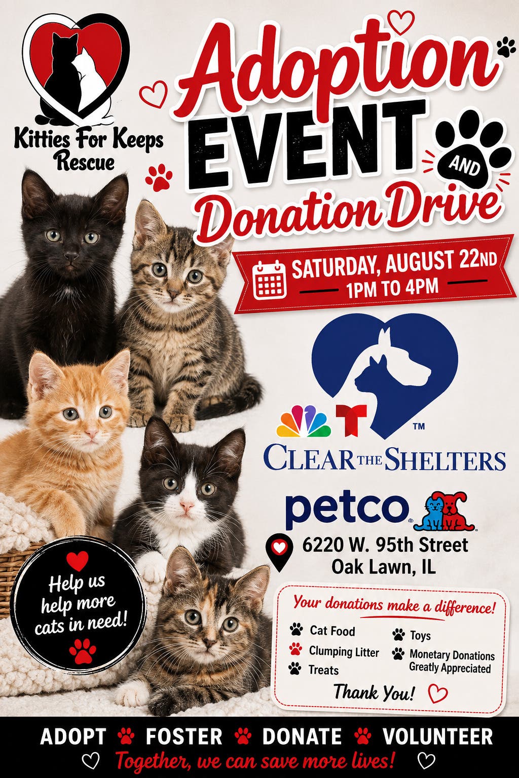 Kitties For Keeps Rescue Adoption Event and Donation Drive