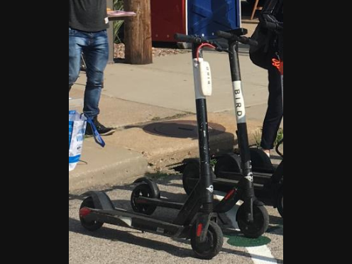 News small post card thumbnail