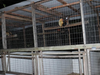 Polk County Sheriff's Office found cocaine in addition to a cockfighting ring in Mulberry and arrested 14 suspects. 