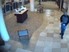St. Petersburg police are searching for a male suspect