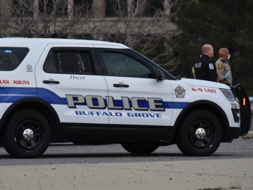 The incidents and arrests below were reported by the Buffalo Grove Police Department from Aug. 10-16, 2020