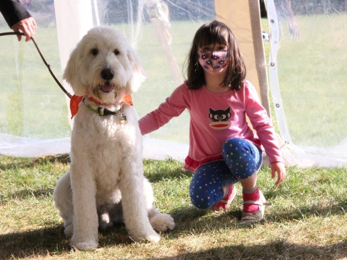 Krieger, a goldendoodle, is greeted by Ellie Long, a first-grade student at Greenbriar School, during a recent visit.