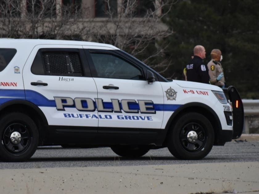 The incidents and arrests below were reported by the Buffalo Grove Police Department from Oct. 30-Nov. 6, 2020.