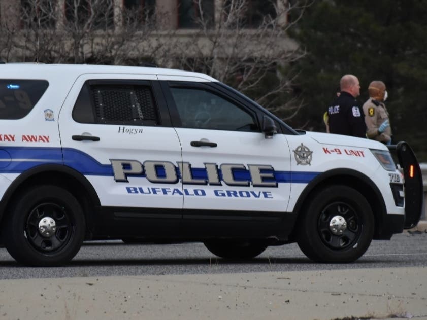 The incidents and arrests below were reported by the Buffalo Grove Police Department from Nov. 7-11, 2020.