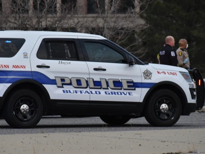 The incidents and arrests below were reported by the Buffalo Grove Police Department from Nov. 21-28, 2020.