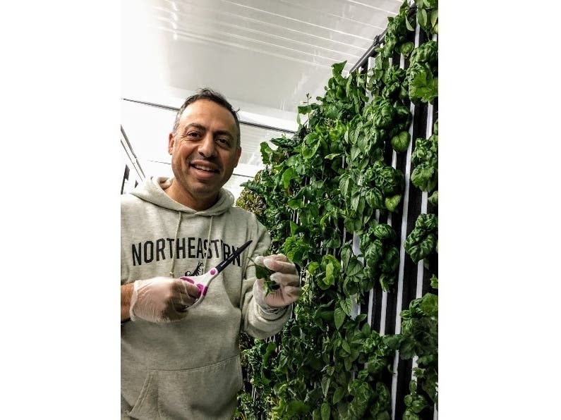 Aviad Sheinfeld, of Wiseacre Farms, Glenview’s first hydroponic farm.