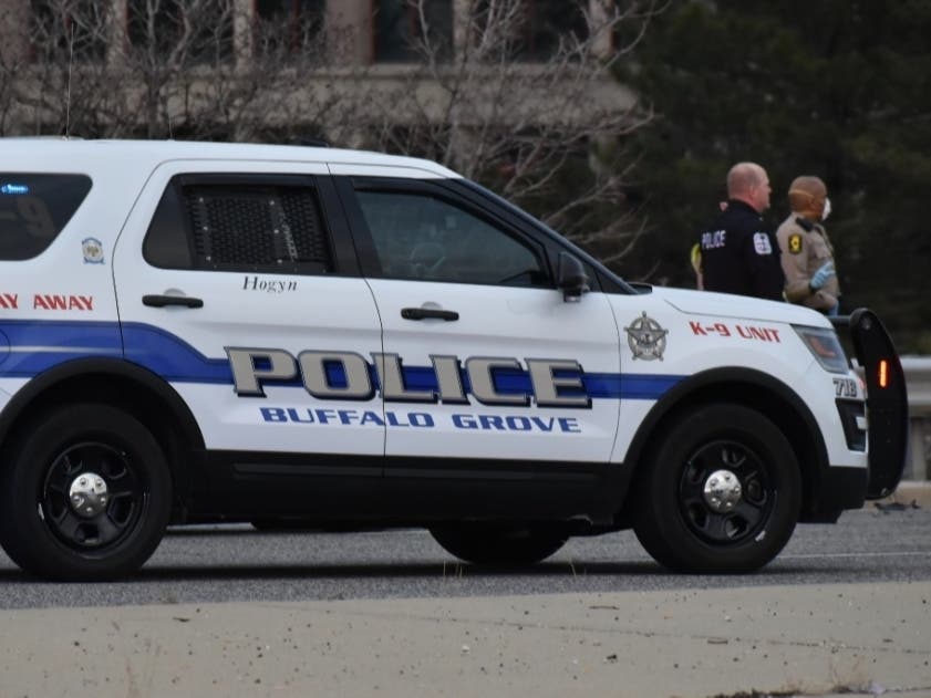 The incidents and arrests below were reported by the Buffalo Grove Police Department from Jan. 22-28, 2021. 