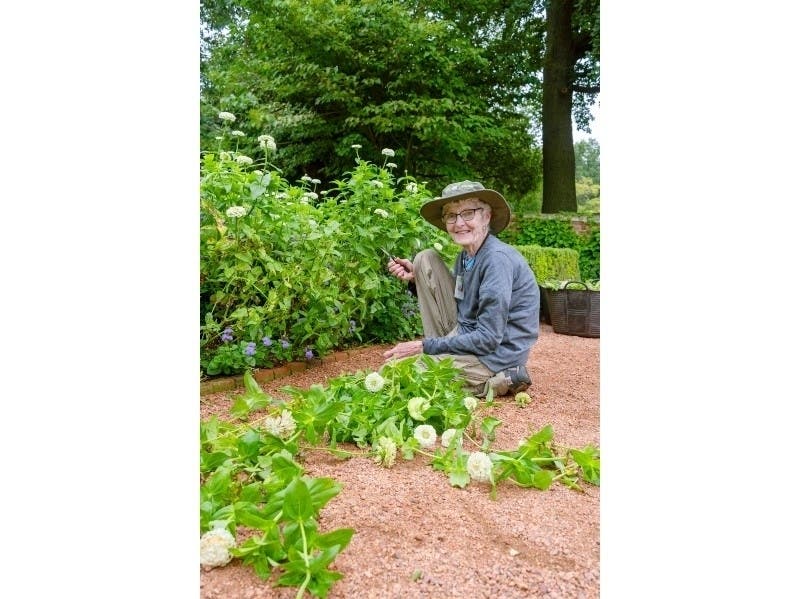 Marnee Kenny contributes her talents mainly as lead volunteer with the English Walled Garden horticulture team, arriving early to set up tools and equipment for other volunteers.