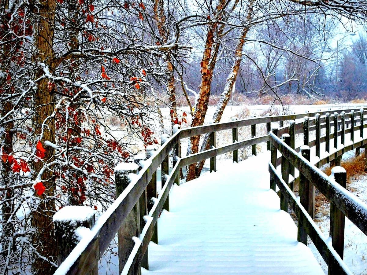 Reader Joe Kloptowsky submitted this photo he took of the trail near the Tinley Park Library on 80th Avenue in Tinley Park. He said it's "such a beautiful area to walk the trail after a snowfall." 