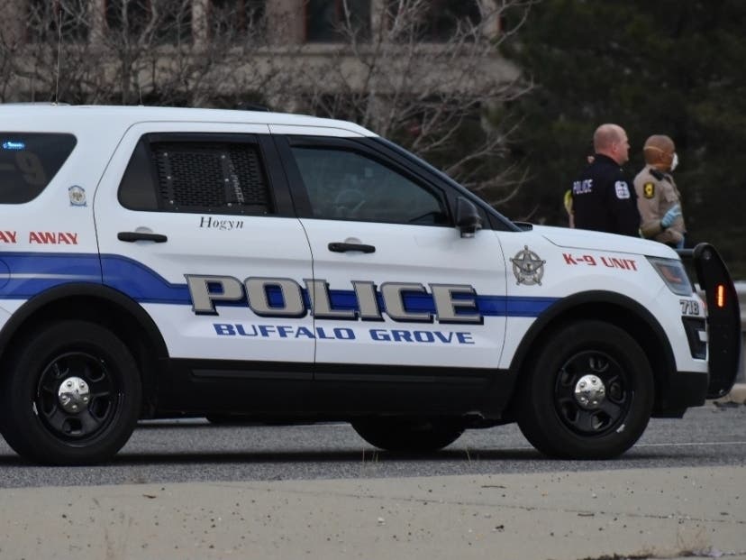 The incidents and arrests below were reported by the Buffalo Grove Police Department from Feb. 24-March 8, 2022.  