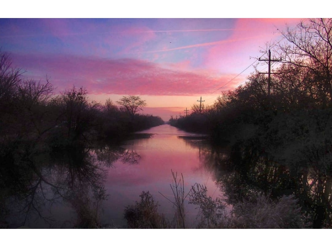 Reader Dr. Jack Edward Bort submitted this photo, titled "Purple Haze," taken at the canal walk in downtown Lemont. 