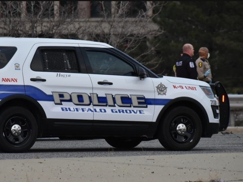 The incidents and arrests below were reported by the Buffalo Grove Police Department from March 14-22, 2022.  