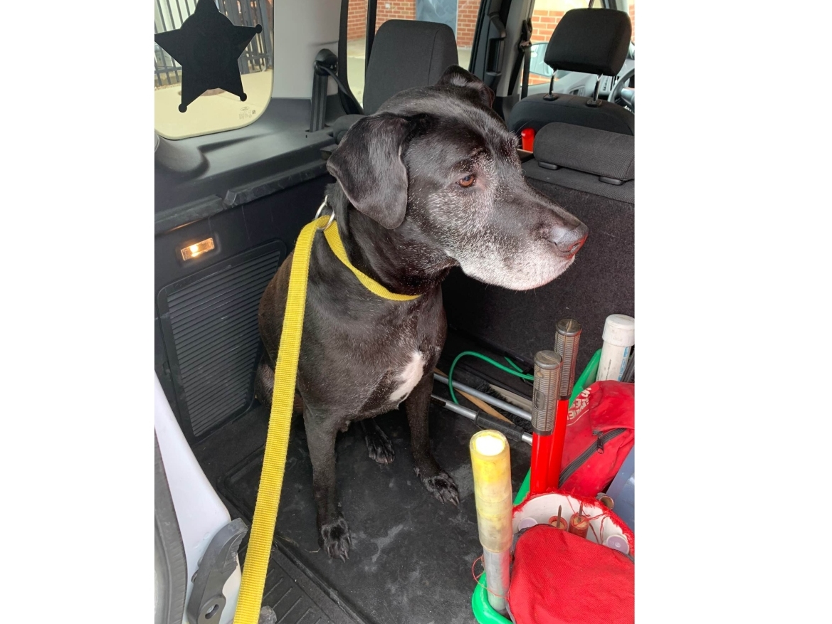 The dog is currently at the Glenview Police Department. 