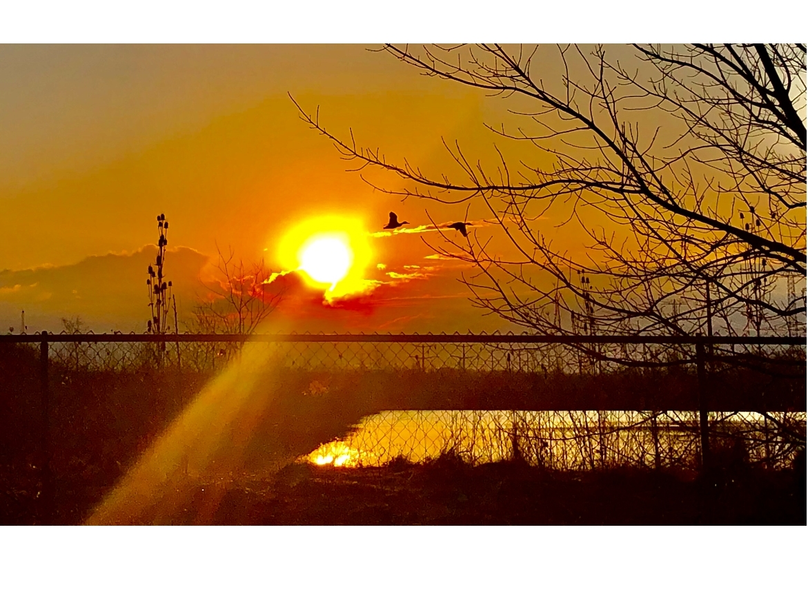 Reader Richard Anzalone submitted this photo he took of a sunrise at Silver Cross Hospital in New Lenox.