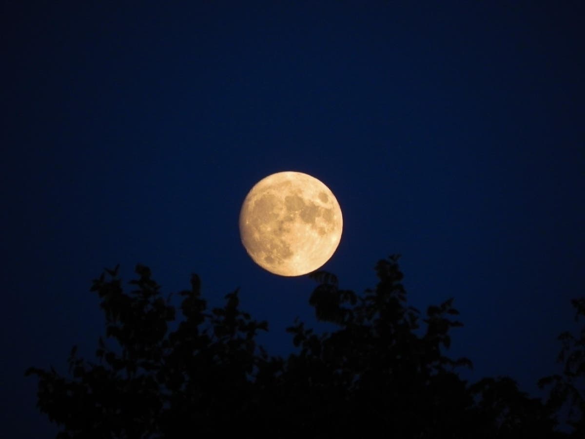 Sara Ulanowski, a student at Joliet Junior College, took this great photo of the moon recently in Tinley Park. Ulanowski is studying art with a focus on digital photography.   