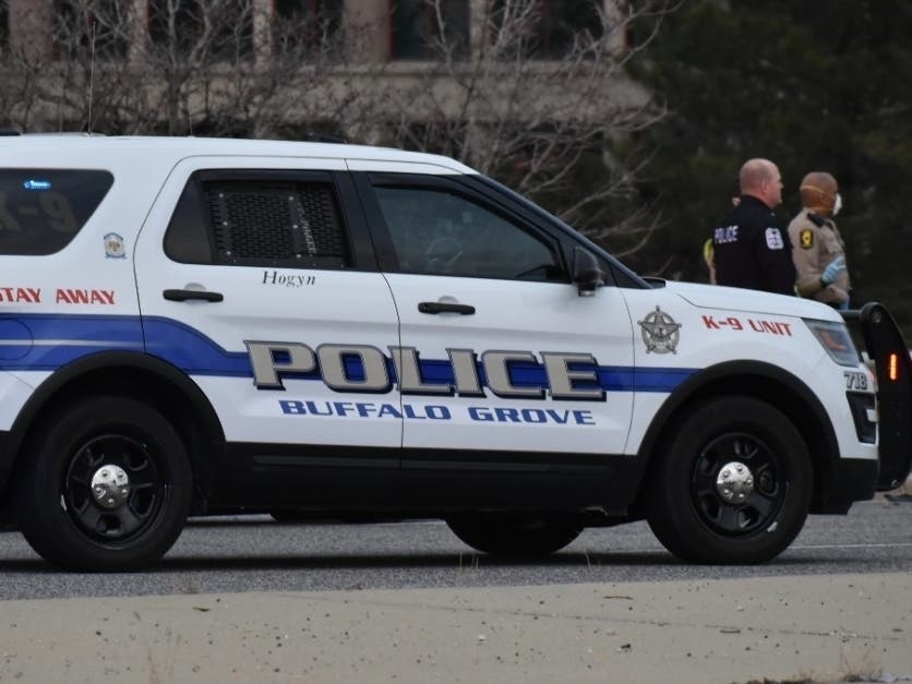 The incidents and arrests below were reported by the Buffalo Grove Police Department from June 28-July 4, 2023. 