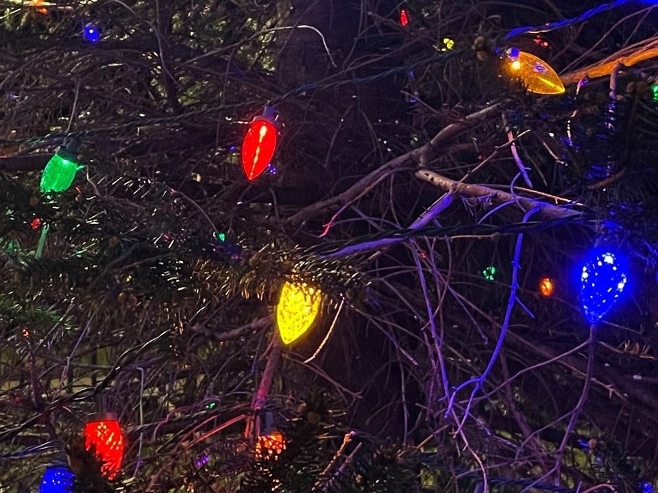 The tree lighting at North School Park is scheduled for 5 p.m. 