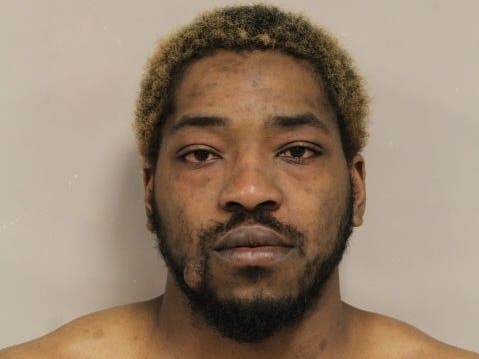 James Howard, of Palatine, was released following his arrest. 