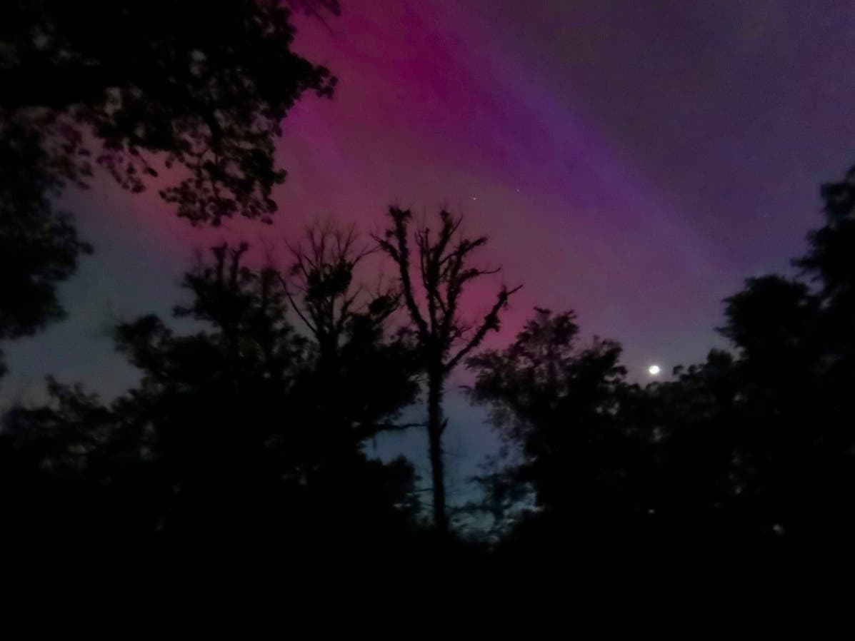 Laura Bradley, of Homer Glen, took this photo of the recent Northern Lights, with the shining waxing Crescent Moon. "It has always been a dream of mine to see the Northern Lights, but I never imagined I would see them in my own front yard," she said. 