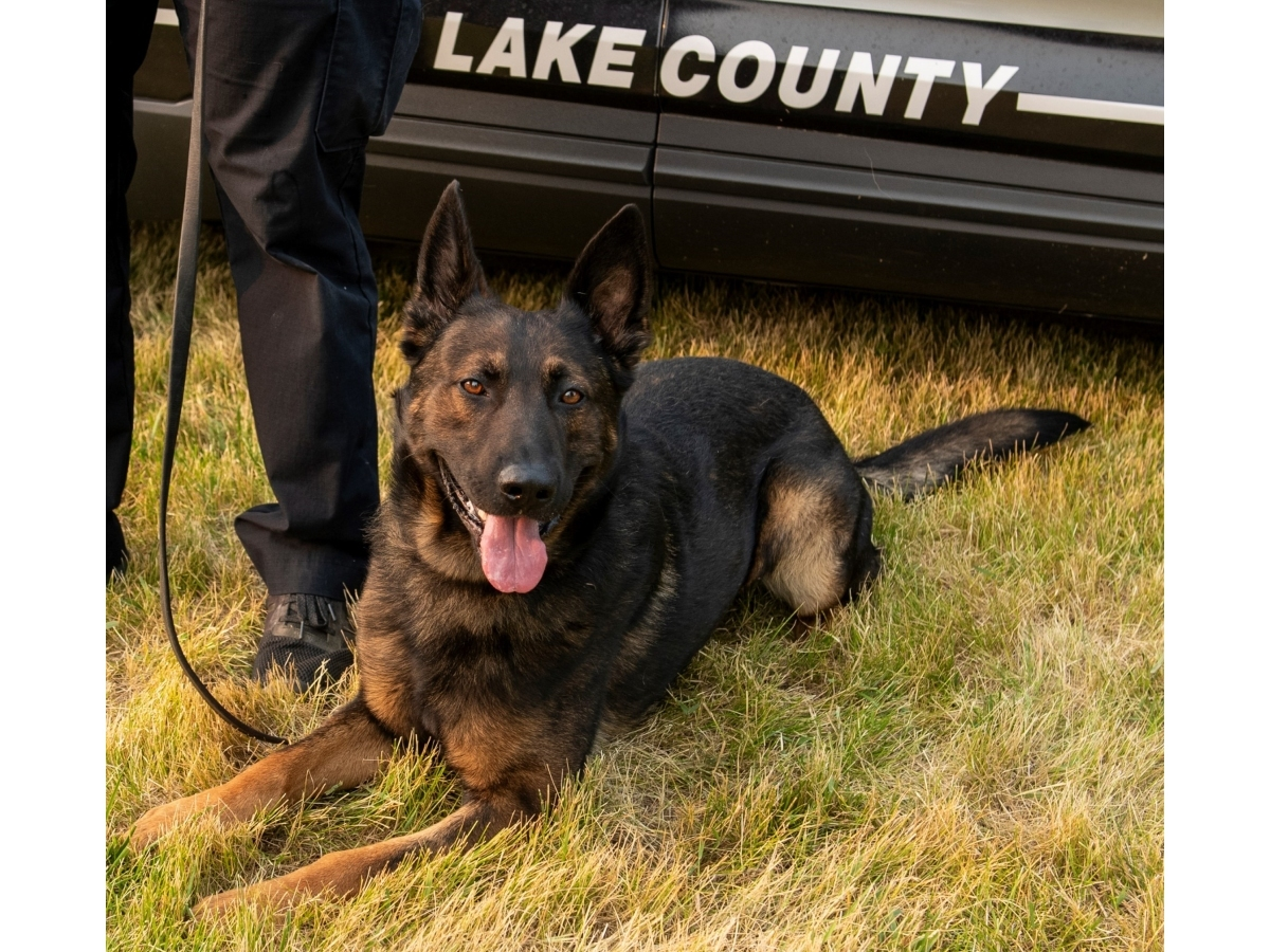 K9 Axel joined the Lake County Sheriff's Office in 2022. 