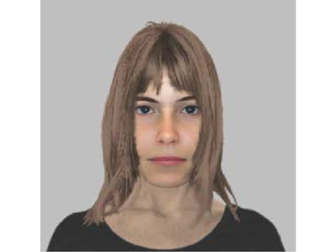 The Schaumburg Police Department released a composite sketch of the woman. 