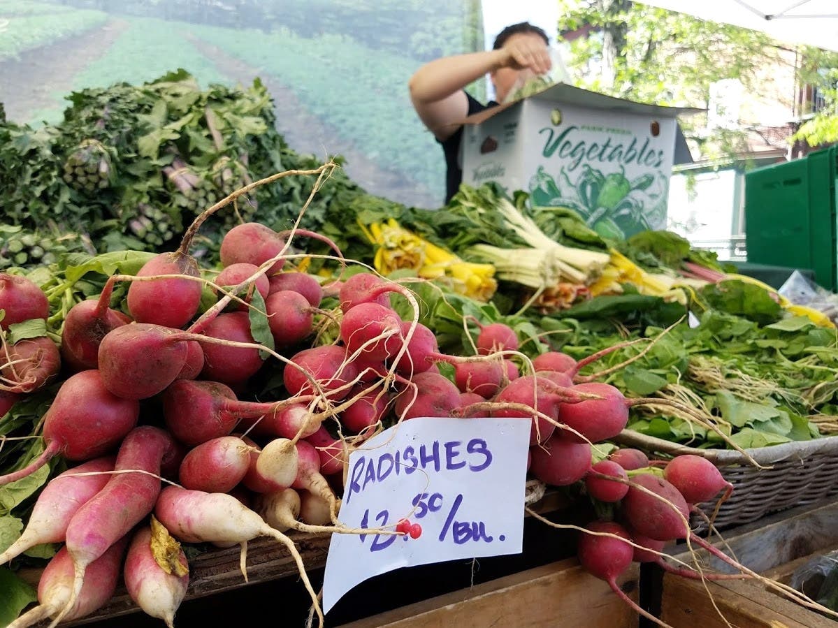 While many local markets don't start their season until May and June, some are set to sell farm-fresh fruits, vegetables, cheeses, and much more in the next few weeks. 