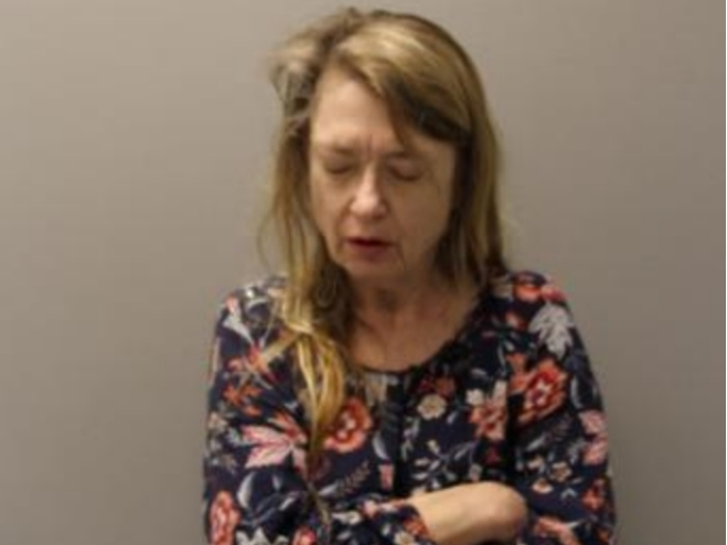 Donna Plodzien Dolezal was released following her arrest. 