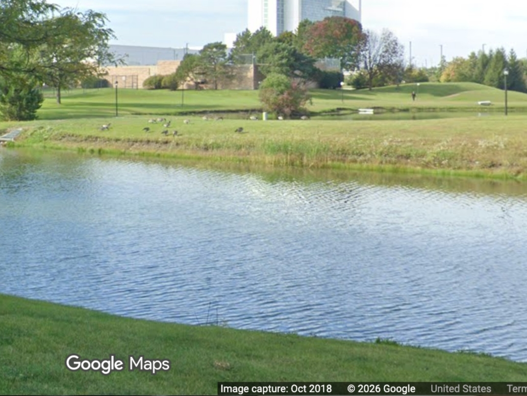 At around 6:20 a.m. Wednesday, the Schaumburg Police Department received a call about a body in the pond in the 1800 block of Walden Office Square.