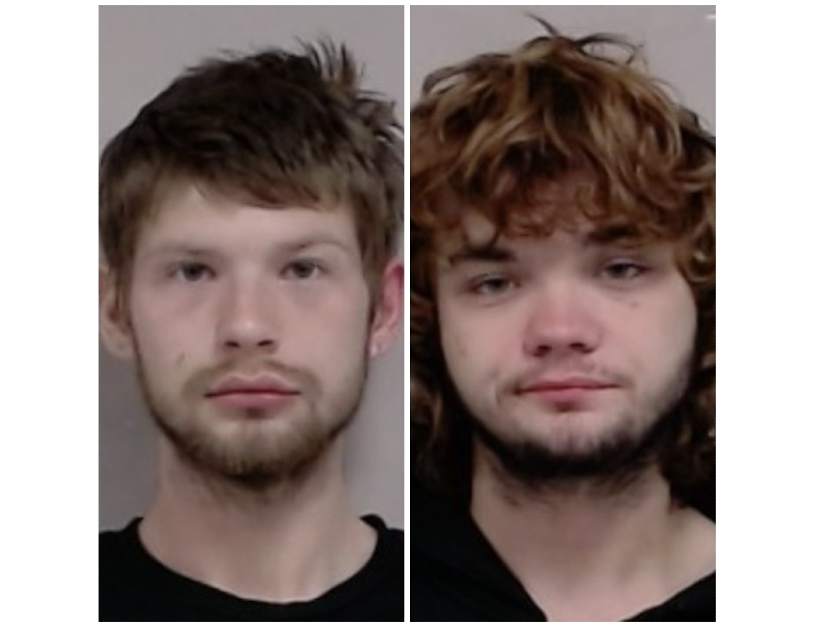 Azrael Sullivan, 20, of Rolling Meadows, and Dennis Liebich, 18, of Des Plaines, were taken into custody Saturday.