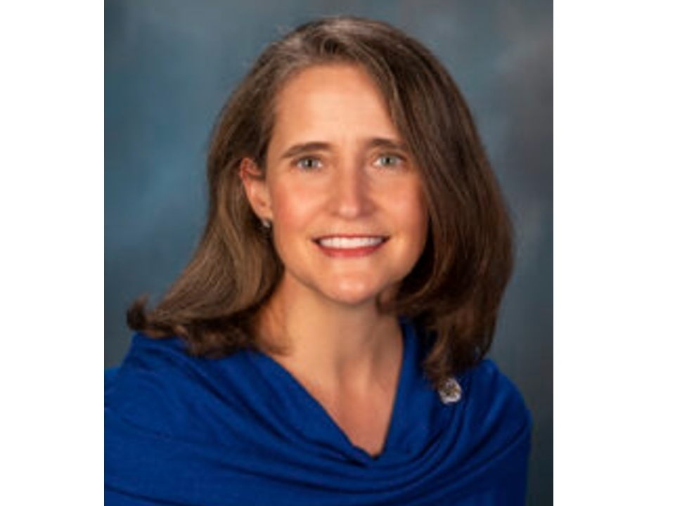 Michelle Mussman, a Schaumburg Democrat who has represented Illinois' 56th House District since 2011.