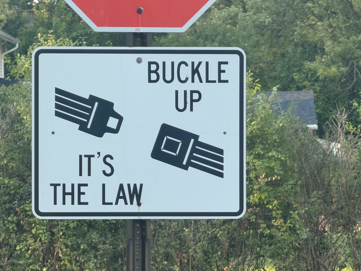 Of the seat belt citations, 11 were issued during nighttime hours, according to the Buffalo Grove Police Department