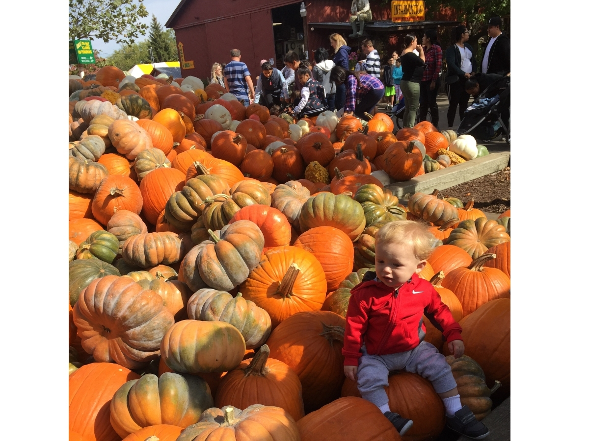 Many pumpkin patches and fields make a day of it, with hayrides, corn mazes, games for the kids and other seasonal activities.