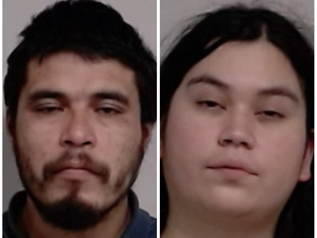 Jovani Perez-Antonio, 35, and Martha Arce Martinez, 29, of Palatine, were both charged with multiple felonies.