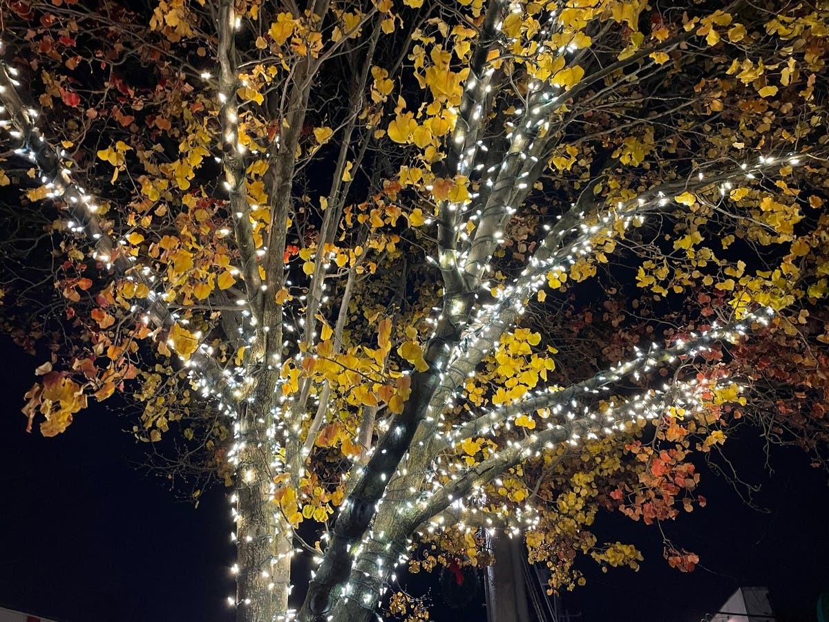 “We are delighted to have our events back in person again this year and have been heartened by the number of inquiries received so far,” said Falmouth Chamber President Michael Kasparian.