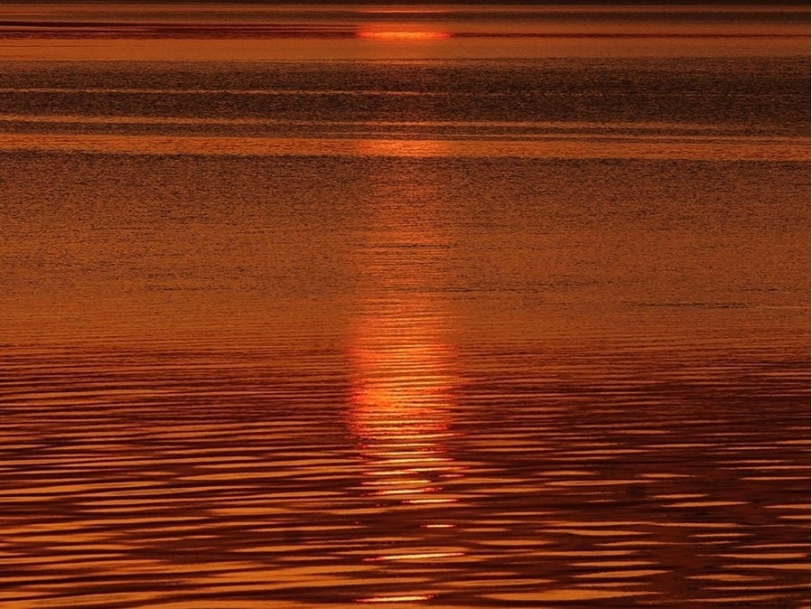 The grant will impact Natick as its part of the group's plan to remove the defunct South Natick Dam, a move they say will help with water quality and more.