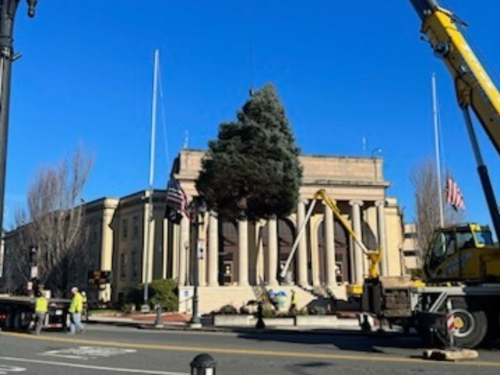 The tree, which arrived Friday, is a 30-foot blue spruce that was donated by a local resident.
