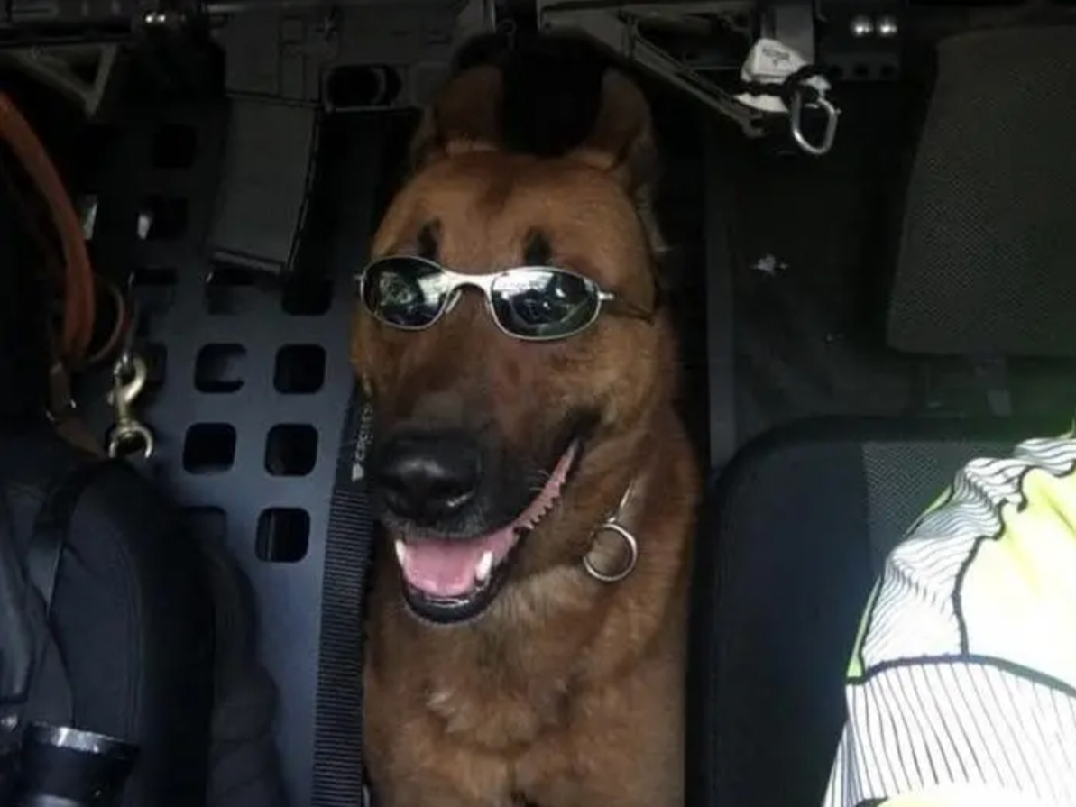 Kitt was shot and killed when police responded to a domestic violence situation in June 2021. Officers Matthew Donaghue and William Cushing Jr. were injured with multiple gunshot wounds while responding to the Braintree Village apartments. 