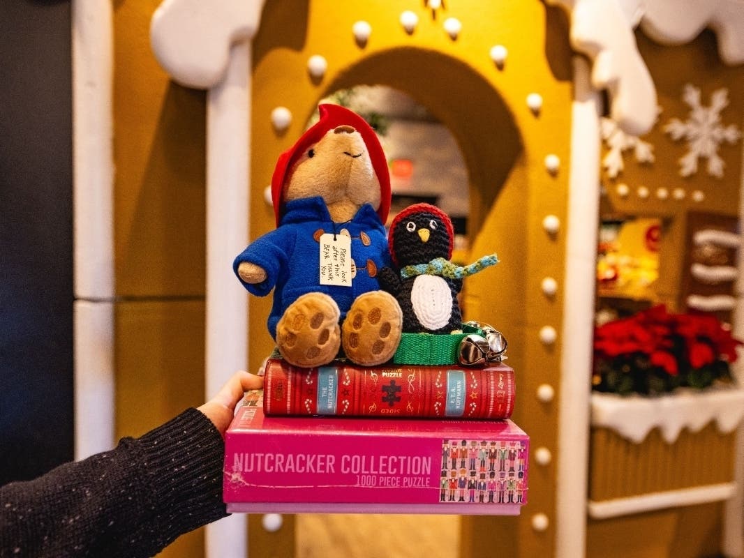 Hummingbird Books, 55 Boylston St., Suite 5510, will transform into The Toy Shop at Hummingbird Books for the season starting on Saturday. Here's what shoppers can expect there.