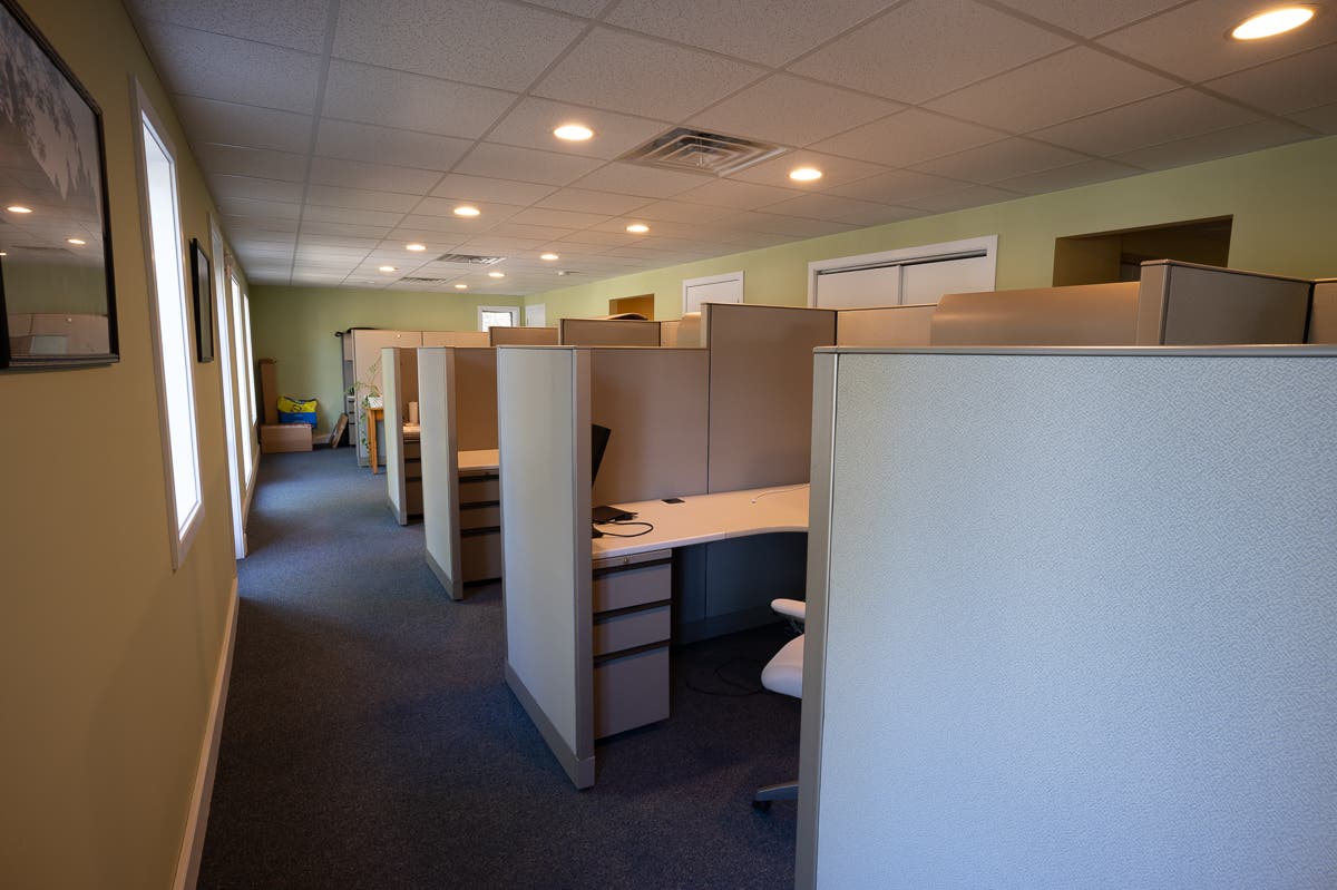 Office cube partitions for five cubicles - FREE